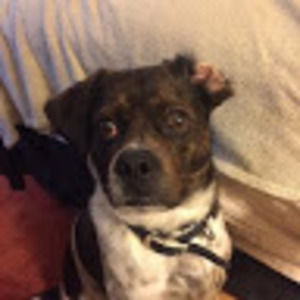 Meet your Posher, Jacob